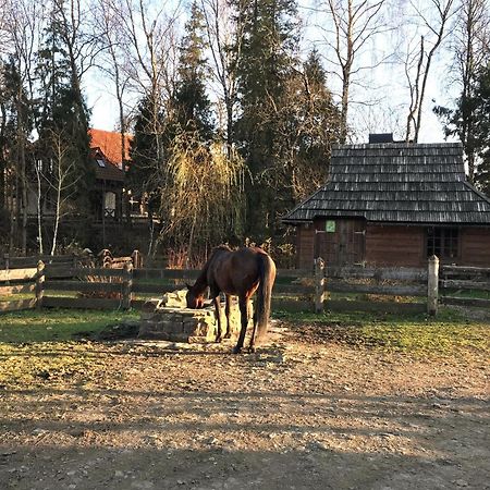 Dom W Bieszczadach Villejka Strzebowiska Екстериор снимка