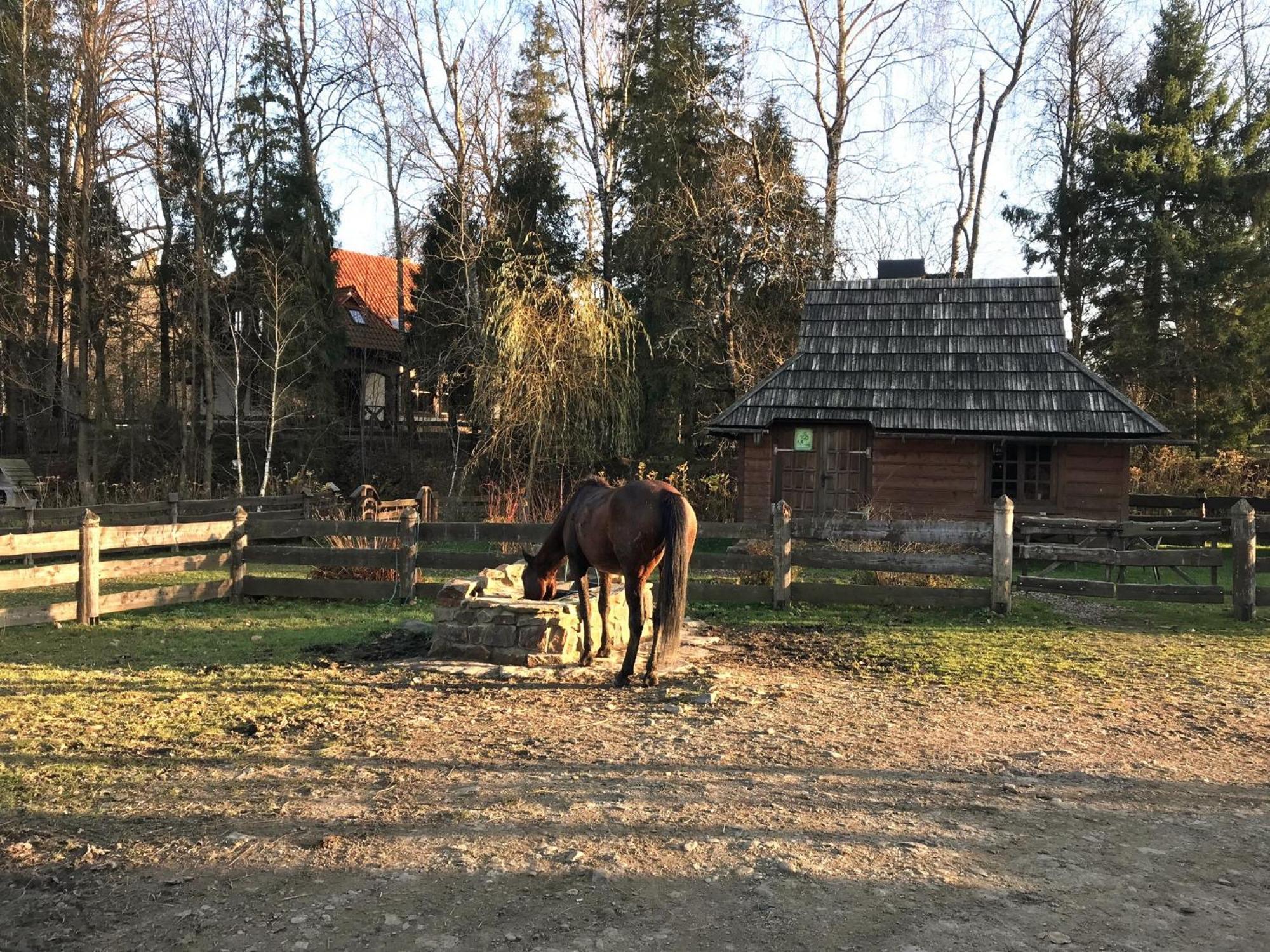 Dom W Bieszczadach Villejka Strzebowiska Екстериор снимка